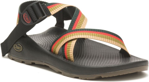 Tetra Moss Chacos Men\'s Z/Cloud Wide Width