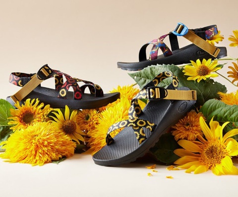 Women\'s Z/2 Classic Harvest Collection Chacos Sunflower Multi